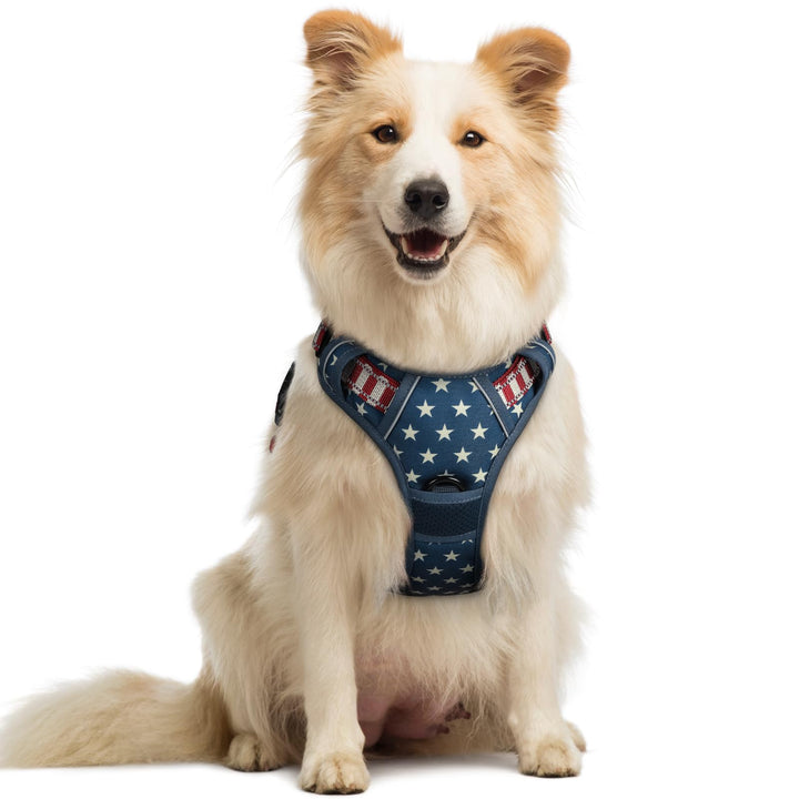 rabbitgoo Hundegeschirr Mittelgrosse Hunde, Anti Zug Geschirr mit Kontrolle, No Pull Verstellbar Hun