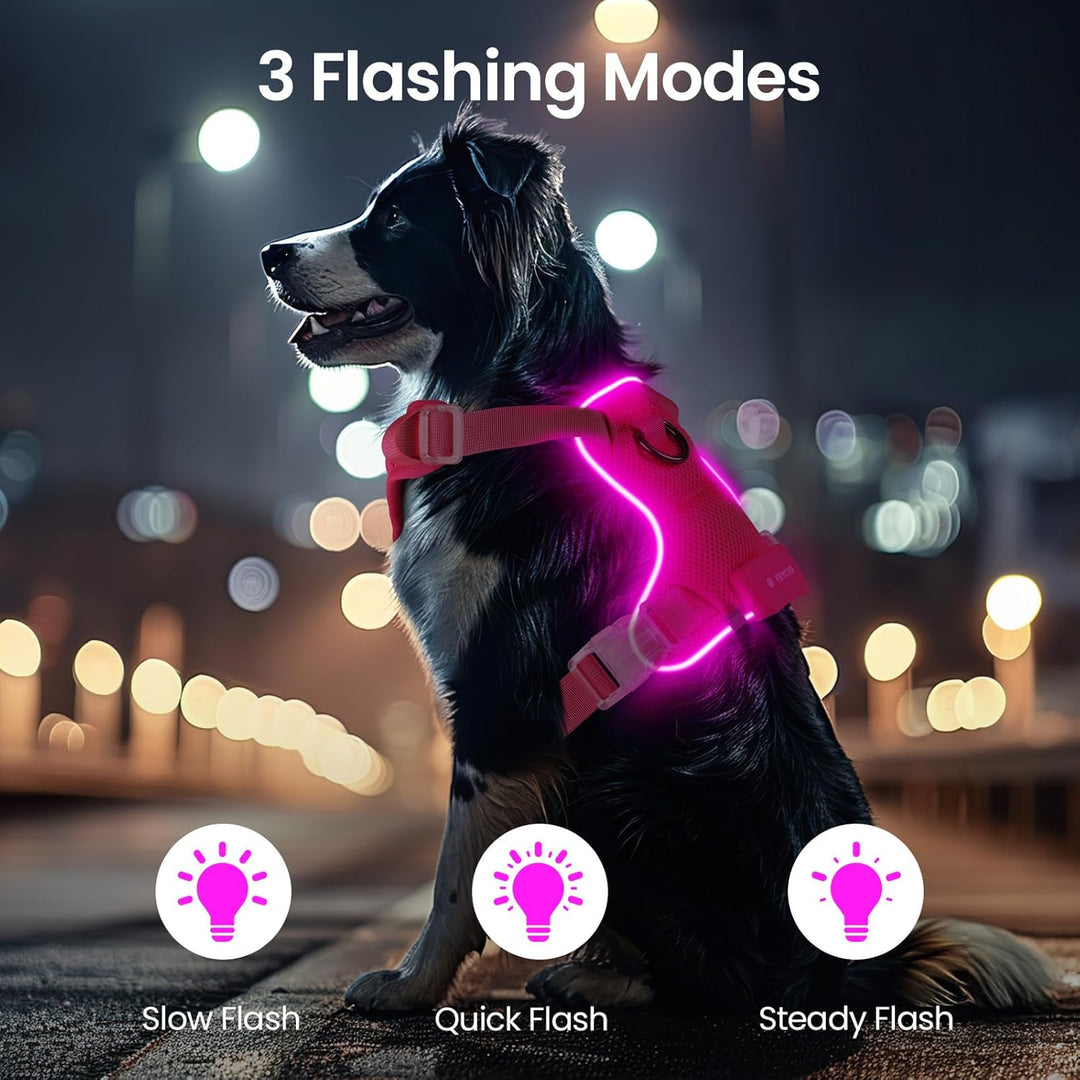 Light Up Dog Hundegeschirr Leuchtend LED Aufladbar - Leuchtgeschirr Leuchtend für Klein Mittelgrosse
