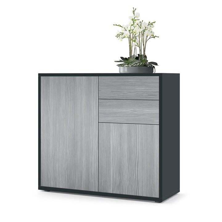 Vladon Sideboard Ben, Made in Germany, Kommode mit 2 Türen und 2 Schubladen, Schwarz matt/Avola-Anth