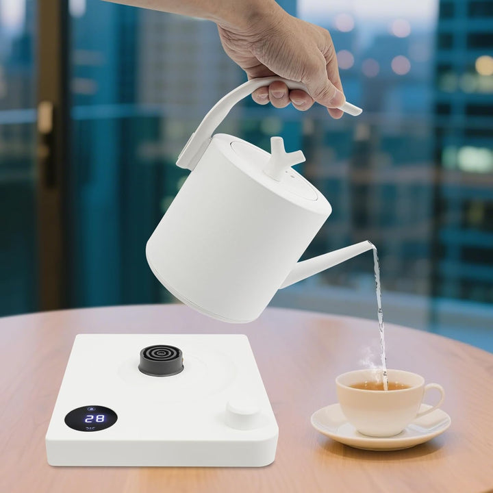 Wasserkocher mit Schwanenhals Edelstahl 1L, Teekocher Elektrisch, Wasserkocher mit Temperatureinstel