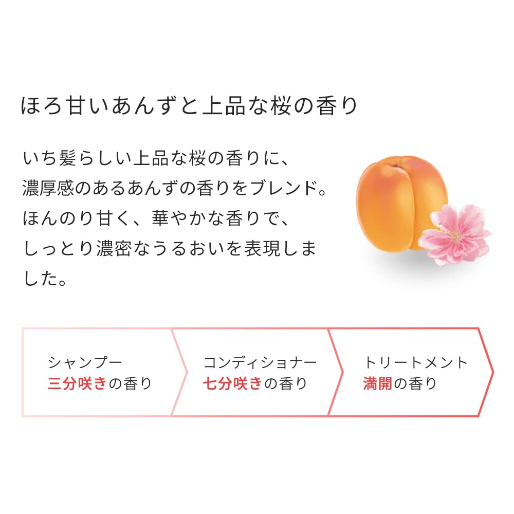 Ichikami Dense W Moisturizing Care Hair Conditioner Pump - 480ml
