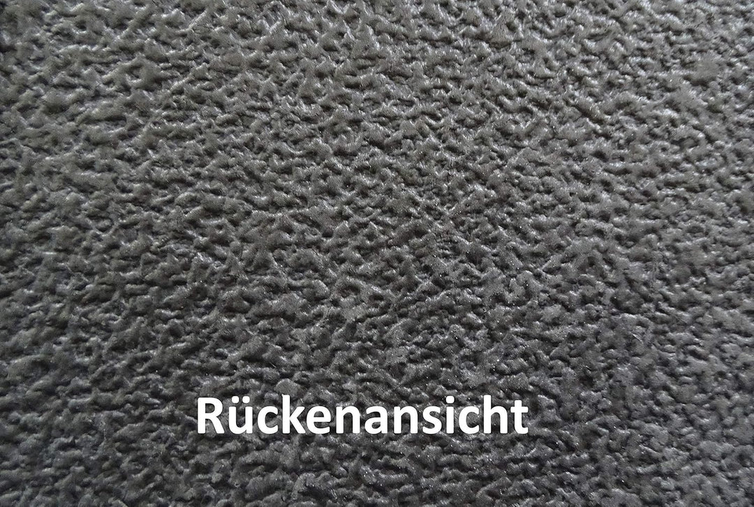 Mertex Automatte Autoteppich kompatibel mit Ducato Jumper II Boxer II 250 seit Bj. 2006 Premium schw