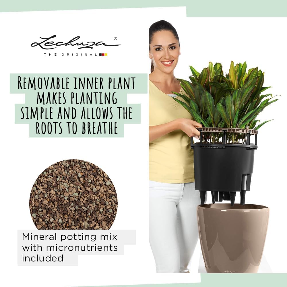 LECHUZA CLASSICO Premium LS 28 schwarz hochglanz 16049 28.5x28.5x26 cm Schwarz Hochglanz Einzel, 28.