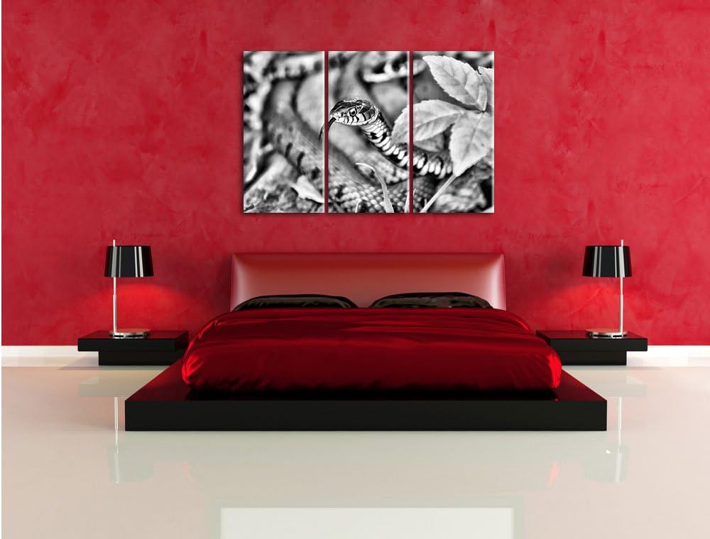 Pixxprint beeindruckende Schlange als Leinwandbild | Grösse: 3 Teilig (120x80) | Wandbild| Kunstdruc