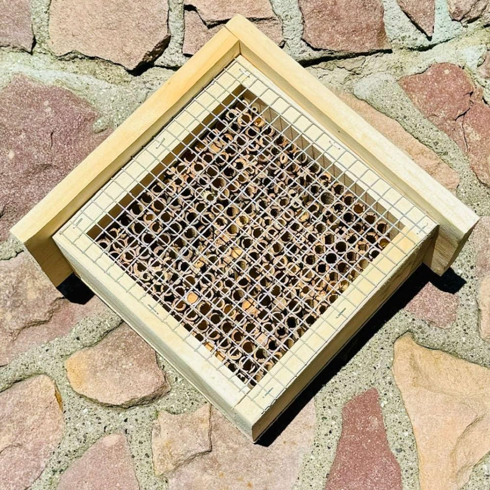 Holz Insektenhotel L Wildbienen-Nisthilfe Rechteckiges Insektenhaus Naturbelassen mit Schutzgitter