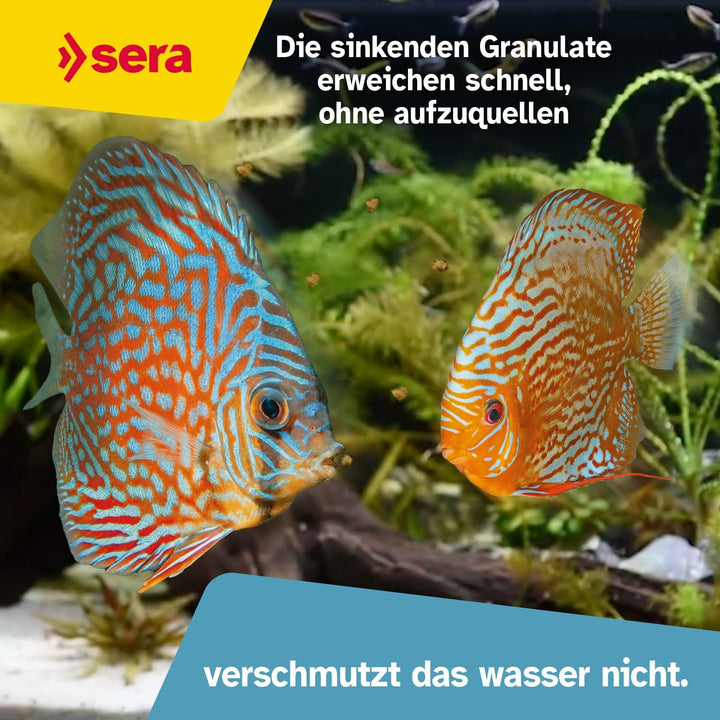 sera Discus Granulat Nature 10 L (4,2 kg) - Hauptfutter für alle Diskusfische, Futter für Diskus