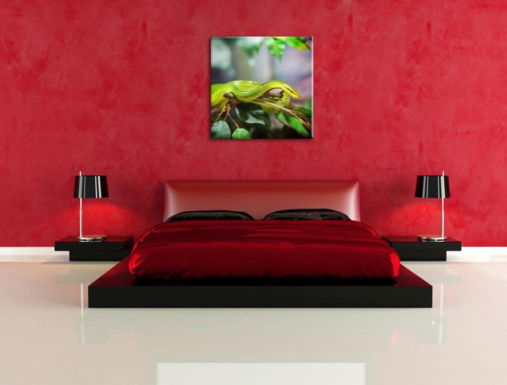 Raue grüne Schlange, Format: 70x70 auf Leinwand, XXL riesige Bilder fertig gerahmt mit Keilrahmen, K