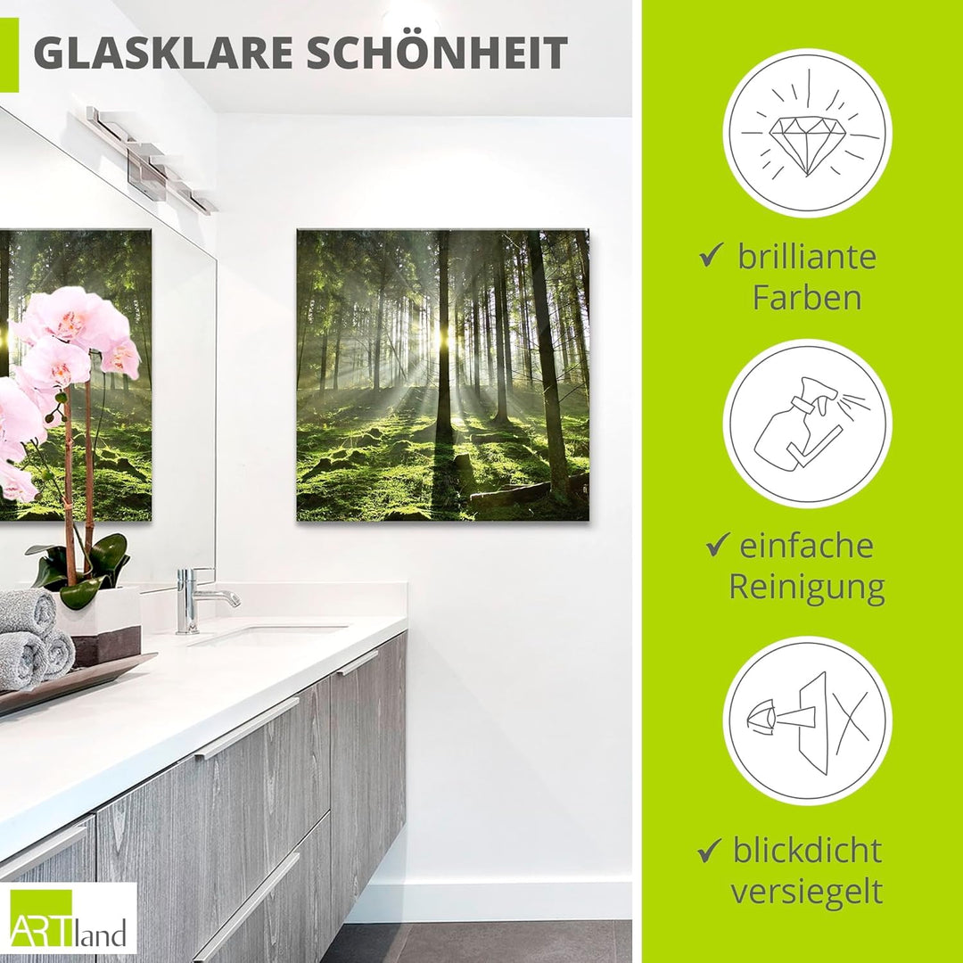 Glasbilder Wandbild Glas Bild einteilig 50x50 cm Quadratisch Natur Wald Landschaft Sonne Bäume Moos