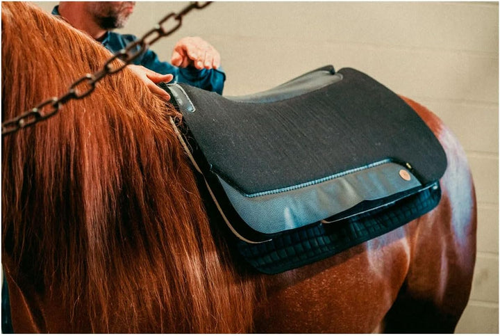 Back on Track Therapeutische Pferd Western Pad, 31 von 30
