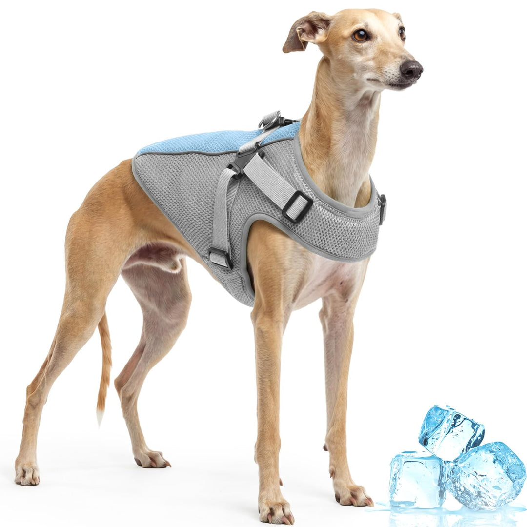 Kühlmantel Hund mit Geschirr, Kühlshirt Kühlanzug Hund Uv-Schutz Hundeweste für Den Sommer, Kühlt Ih