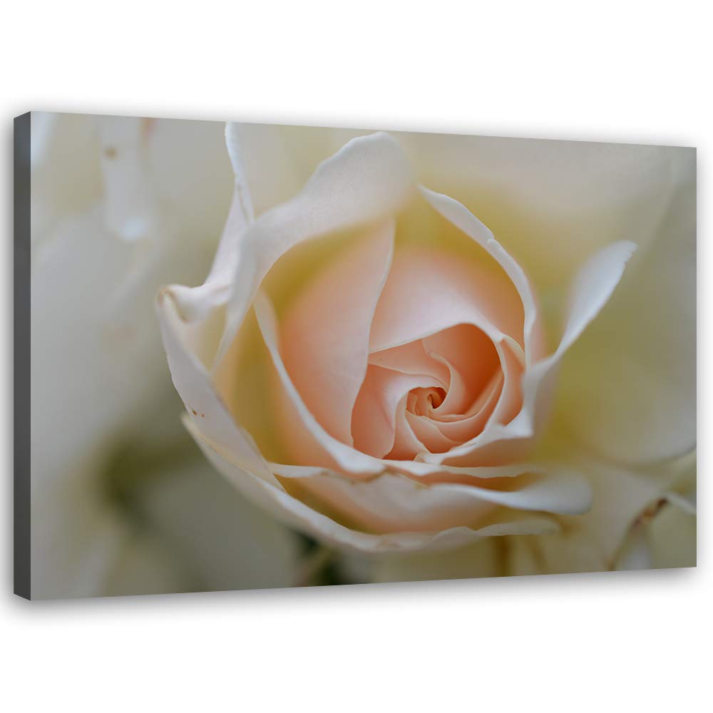 Feeby Leinwandbild Blume Bild Kunstdruck Natur Beige 70x50 cm M14564 70x50 cm, M14564 70x50 cm