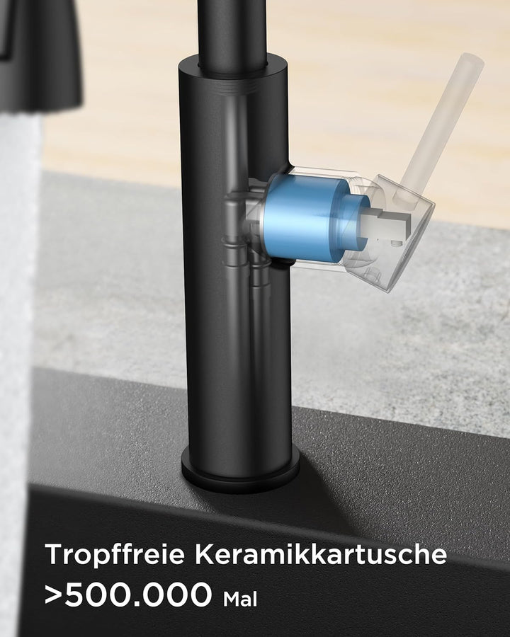 FORIOUS Wasserhahn Küche Schwarz, Küchenarmatur Ausziehbar, Zwei Sprühfunktione, 360° Schwenkbar Ede