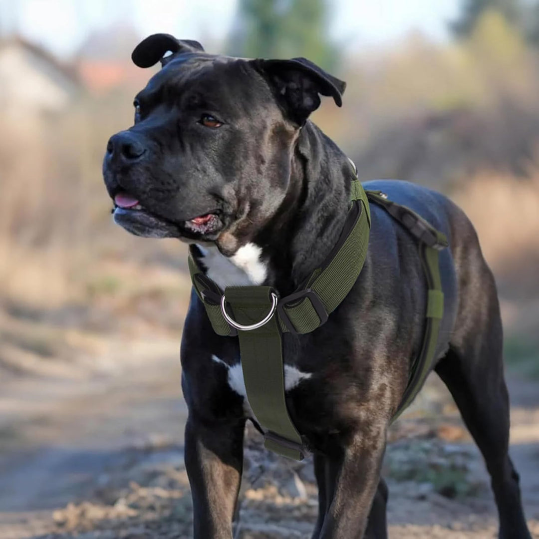 Hundegeschirr Anti Zug, Brustgeschirr Verstellbar mit Front Clip, Anti Zieh Geschirr für Hunde, Weic