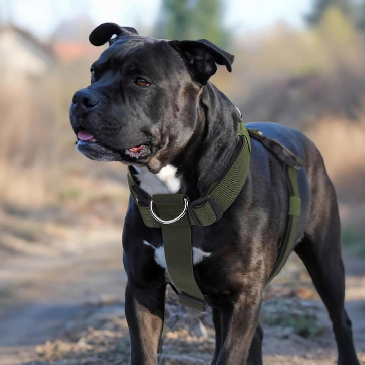 Hundegeschirr Anti Zug, Brustgeschirr Verstellbar mit Front Clip, Anti Zieh Geschirr für Hunde, Weic