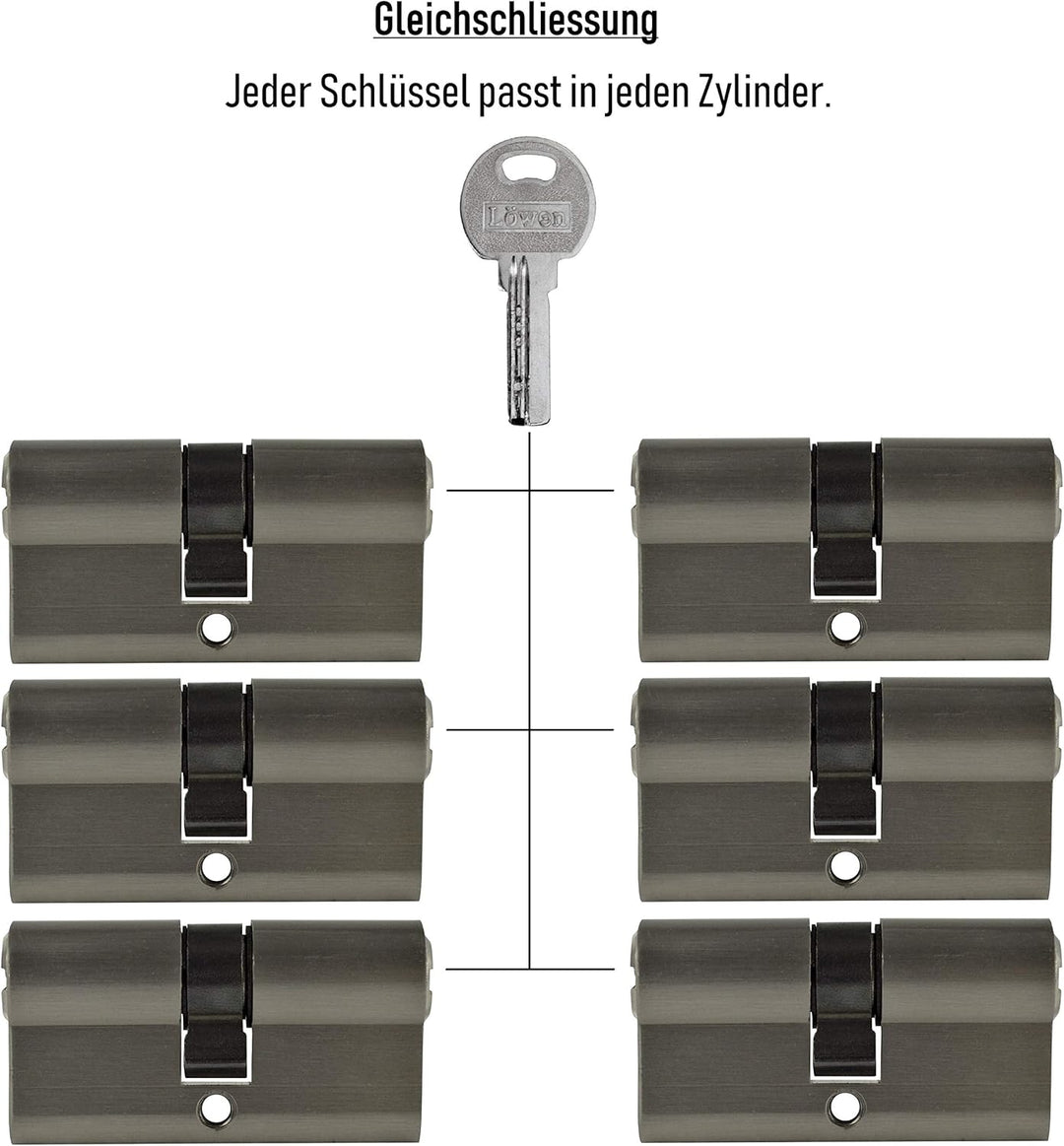 LÖWEN 60 mm 6x Zylinderschloss 30/30 Doppelzylinder gleichschliessend Massive Schliesszylinder inkl.