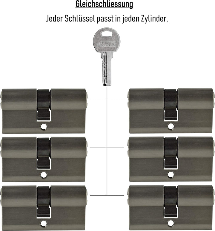 LÖWEN 60 mm 6x Zylinderschloss 30/30 Doppelzylinder gleichschliessend Massive Schliesszylinder inkl.