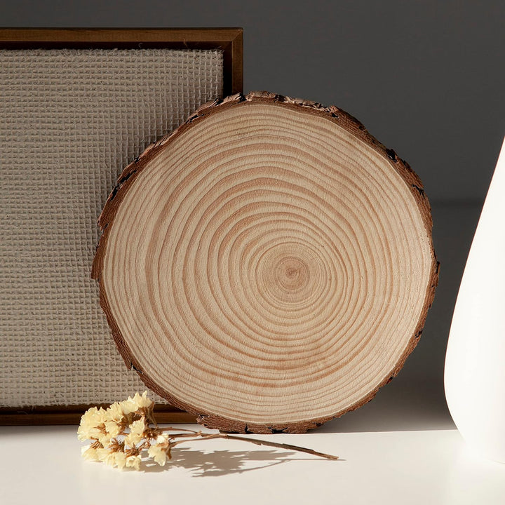 Elan Holzscheiben 20cm - 23cm Durchmesser 8 Stück, Baumstamm Scheiben, Baumscheiben Klein, holzschei