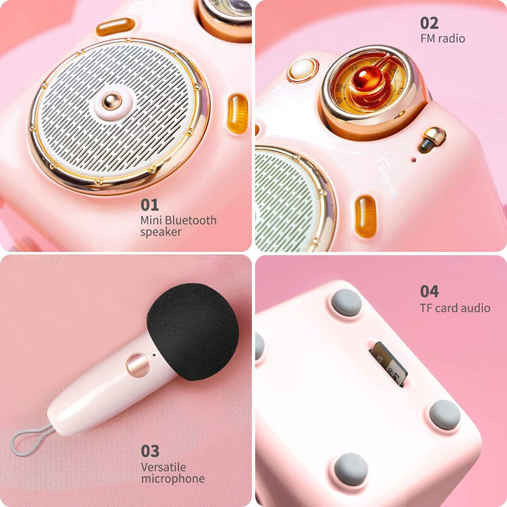 divoom Fairy-OK Tragbares Karaoke-Mikrofon für Erwachsene/Kinder, Bluetooth-Lautsprecher mit KTV-Han