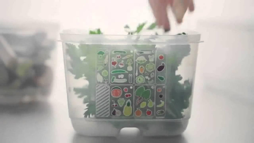 TUPPERWARE Kühlschrank 4,4L dunkelgrün KlimaOase hoch PrimaKlima A183 Klimakönig 10304
