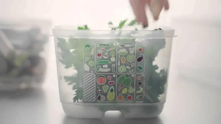 TUPPERWARE Kühlschrank 4,4L dunkelgrün KlimaOase hoch PrimaKlima A183 Klimakönig 10304
