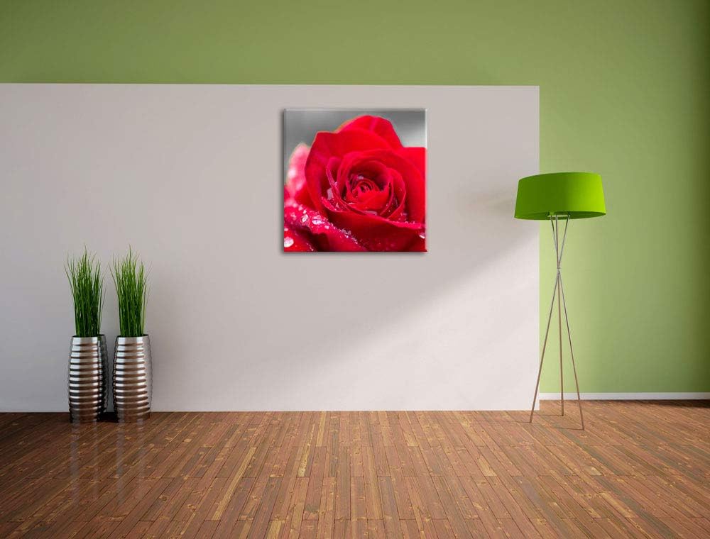 Pixxprint Rose mit Wassertropfen als Leinwandbild/Grösse: 70x70 cm/Wandbild/Kunstdruck/fertig bespan