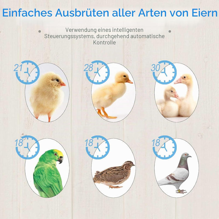 Smart Mini Egg Hatching 12 Eier Inkubator Automatische Temperaturregelung Hatcher für Hühner, Enten,