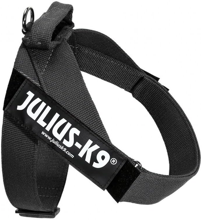 JULIUS K-9, Color & Gray, Beltgeschirr, L / 1 L / 1 schwarz-grau, L / 1 schwarz-grau