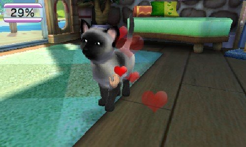 Pets Paradise Resort 3D
