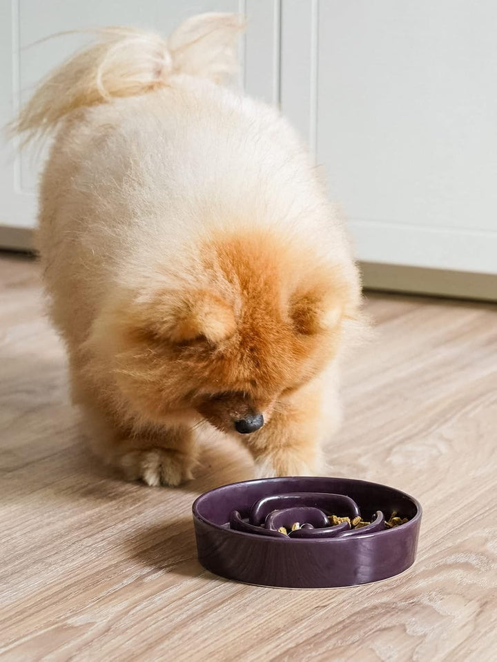 LE TAUCI Hundenapf aus Keramik, Antischlingnapf für Mittelgrosse und Kleine Hunde, Langsam Fressen u
