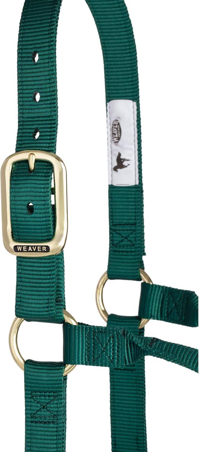 WEAVER Leather, Nicht verstellbares Halfter Jäger-Grün Large Horse, Jäger-Grün Large Horse