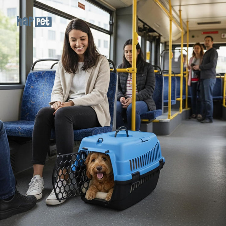 HAPPET Tiertransportbox ABBA S Blau 50x33x33 cm – Robuste, gut belüftete Transportbox aus Kunststoff