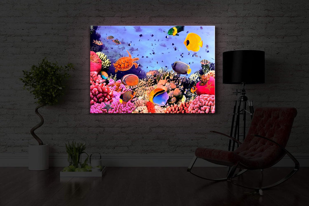lightbox multicolor | Bilder mit LED Beleuchtung | Bunte Fische über Korallenriff | 100x70 cm | Fron