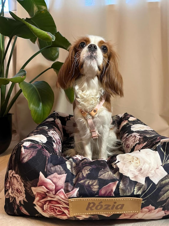 Petsen Hunde Personalisiert Autositz, Autositze Hund Rückbank mit Leine, Hundeautositz mit Hundename