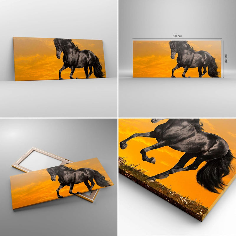 Wandbilder Dekoration Wohnzimmer Tiere Pferd Laufen Wiese Panorama Bilder auf Leinwand 120x50cm Lein