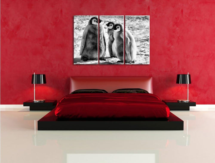 Pixxprint Monocrome, DREI Kaiserpinguinküken 3-Teiler Leinwandbild 120x80 Bild auf Leinwand