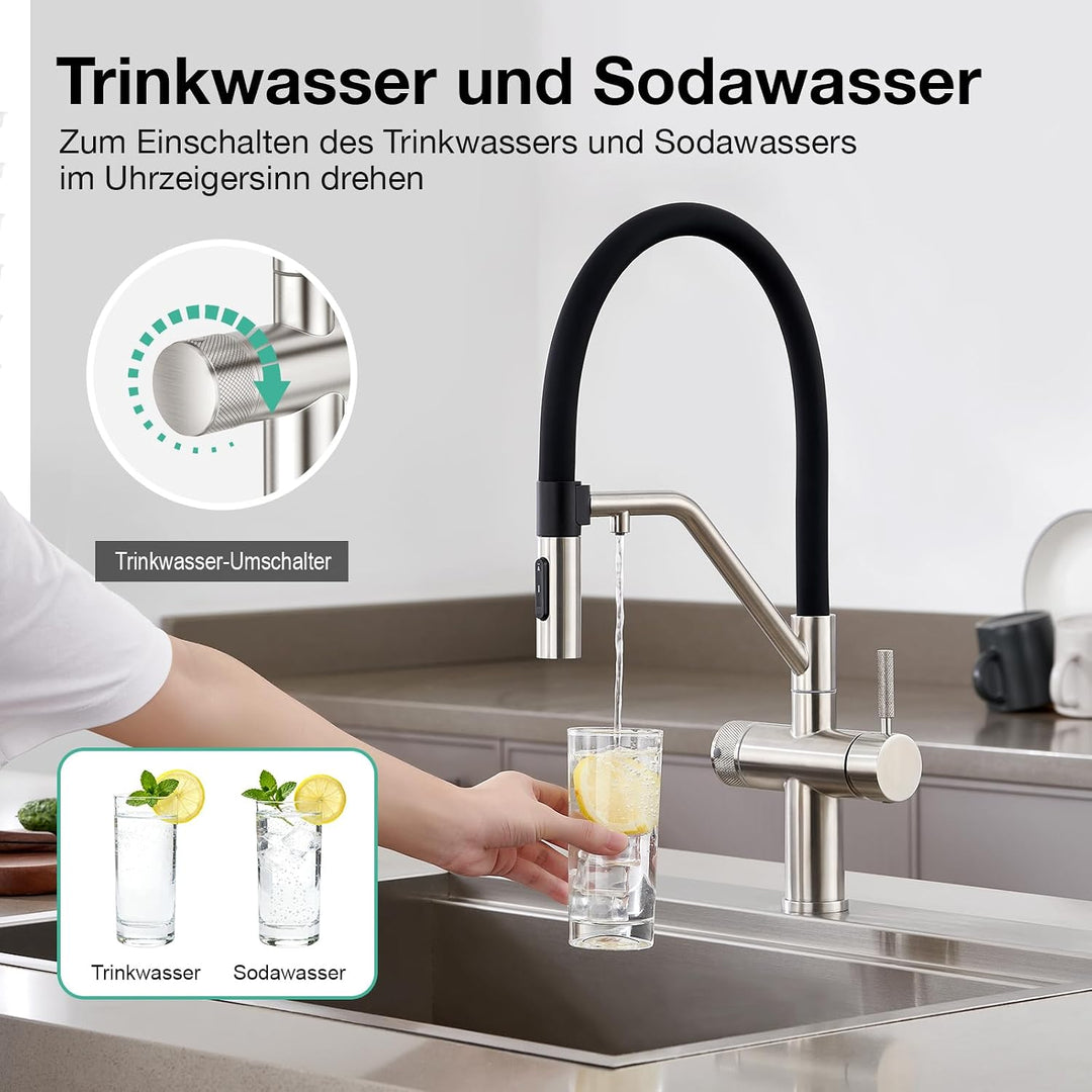 Faustina 4 Wege Küchenarmatur abnehmbar, Doppelhebel Armatur Wasserhahn Küche mit Trinkwasser und So
