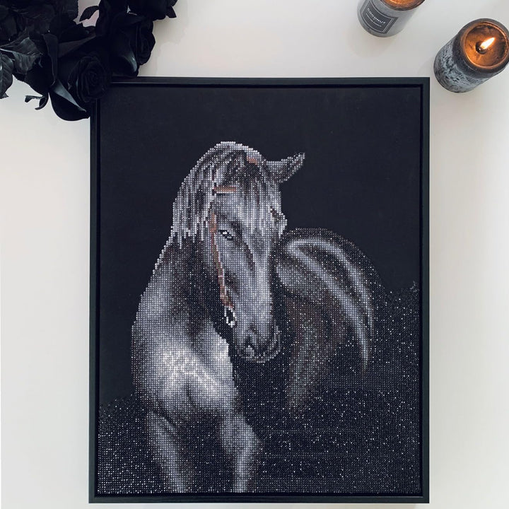 DIAMOND DOTZ DD10.012 - Original 5D Diamond Painting Set Schwarzes Pferd, Kreativset mit 16.797 Diam