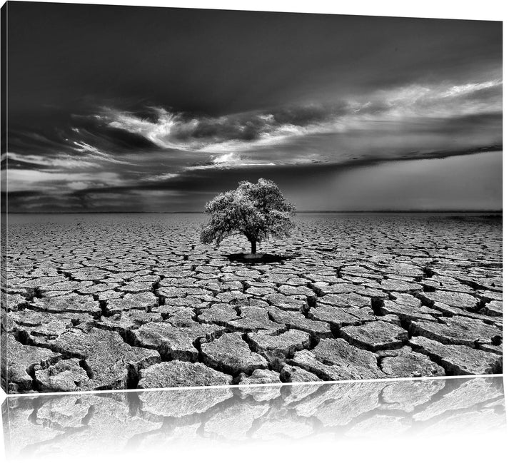 Pixxprint Monocrome, der Letzte Baum im ausgetrockneten Boden, Format: 100x70 auf Leinwand, XXL ries