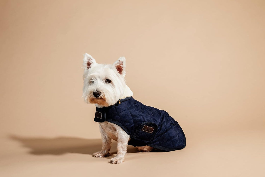 Kentucky Dogwear Hundemantel 160g, XS/navy marine XS, marine XS