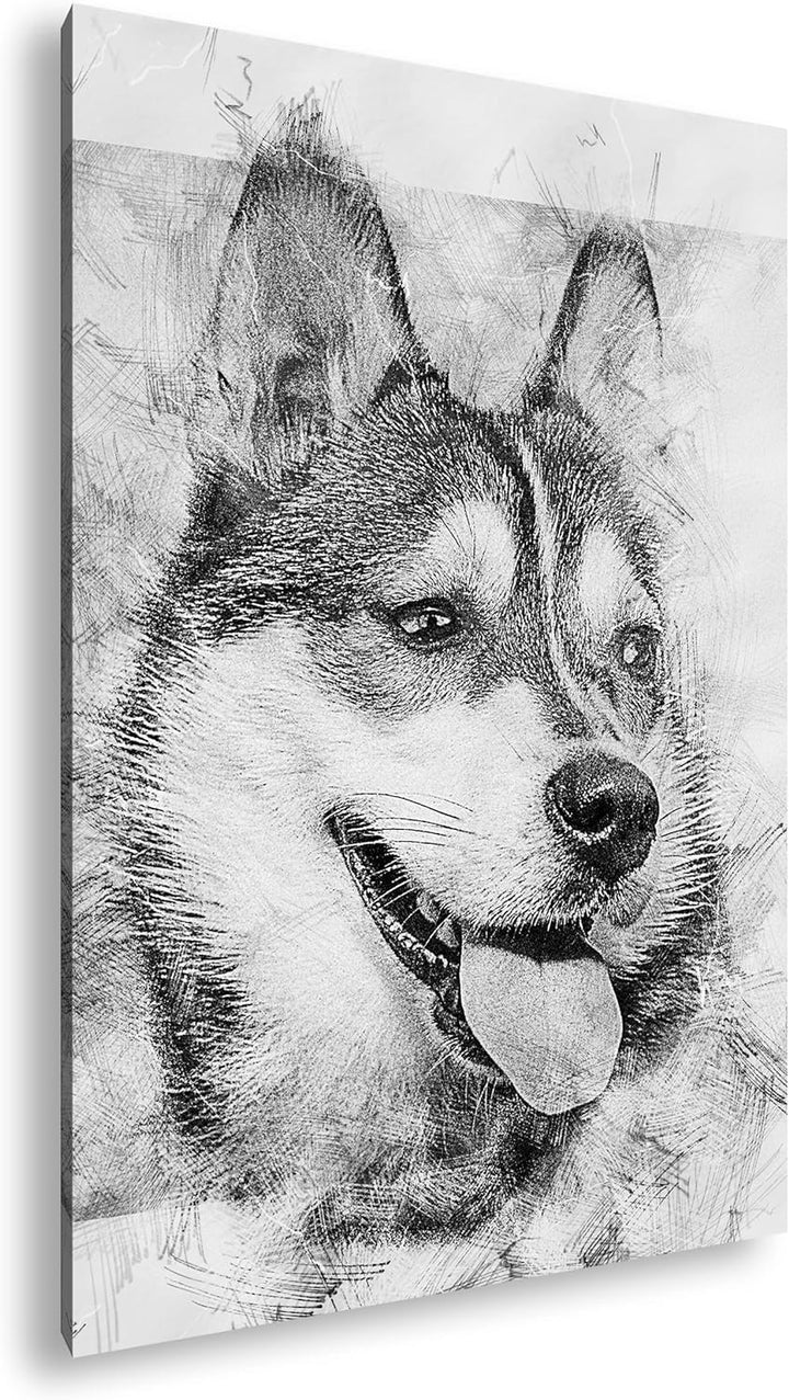 deyoli friedlicher Hund Effekt: Schwarz&Weiss Format: 80x60 als Leinwandbild, Motiv fertig gerahmt a