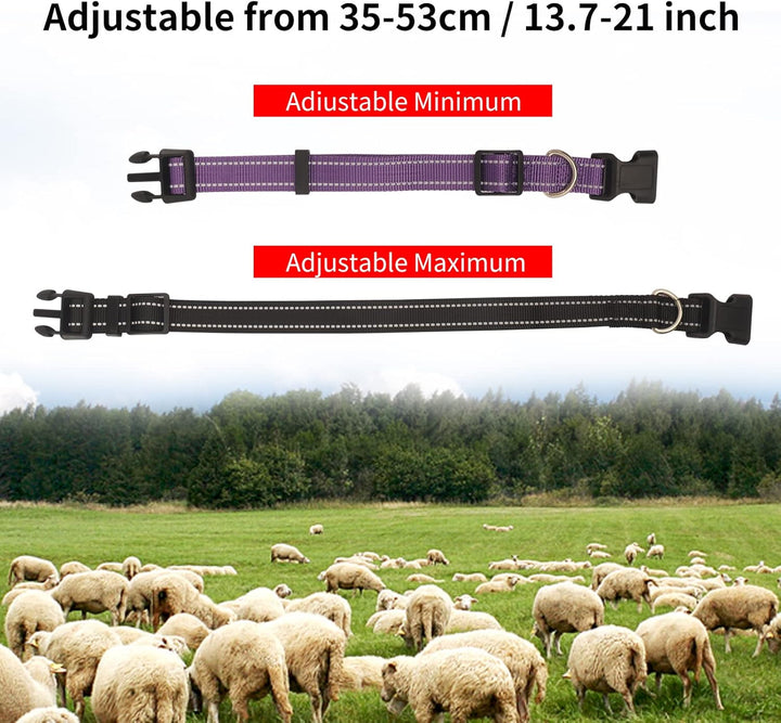 5 Stück Ziegenhalsband mit Glocke, reflektierendes, verstellbares Nylon-Halsband-Set, Schafhalsband