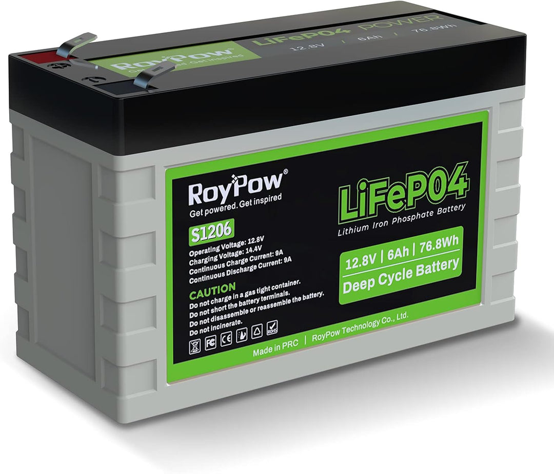 RoyPow LiFePO4 Deep Cycle Batterie 6Ah 12V Wiederaufladbare Lithium Eisenphosphat Batterie 12V 6A, 1