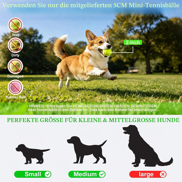 Automatischer Hunde-Ballwerfer für kleine Hunde drinnen draussen | Interaktives Spielzeug 15 Mini-Te