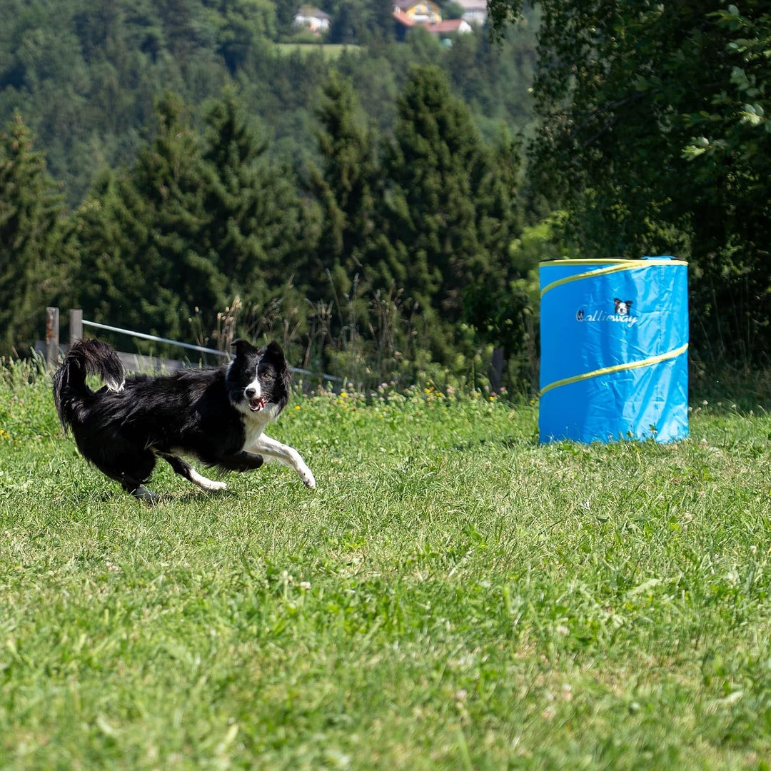 Callieway Hoopers Agility Barrel – Tonne/Fass für Hundetraining (Doppelpack, Blau) | Leicht, stabil