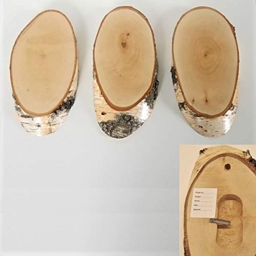 3 Stück Birke Schilder Trophäenschilder REH Rehbock Geweih Baumscheibe Baumschild Natur Holz modern