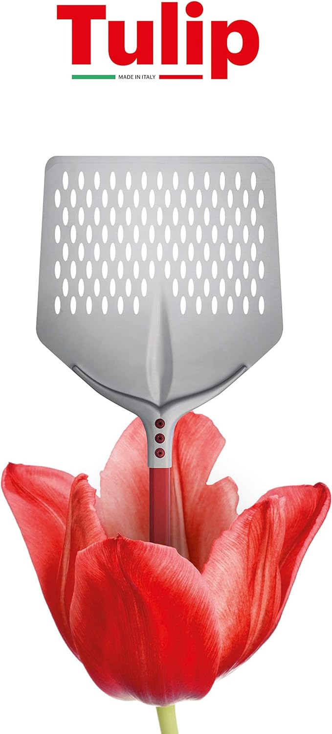 Cerutti Inox Srl 752F36D Pizzaschaufel quadratisch gelocht, Linie Tulip, 36 x 36 cm mit Griff von 60