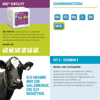KNZ 10kg Leckstein Fertility Salzleckstein Mineralleckstein Block weiss 3 Lecksteine je 10kg Mineral