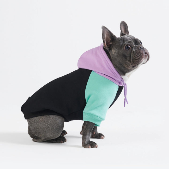 Spark Paws Hunde-Kapuzenpullover – Premium-Qualität, butterweich, hervorragender Komfort und Passfor