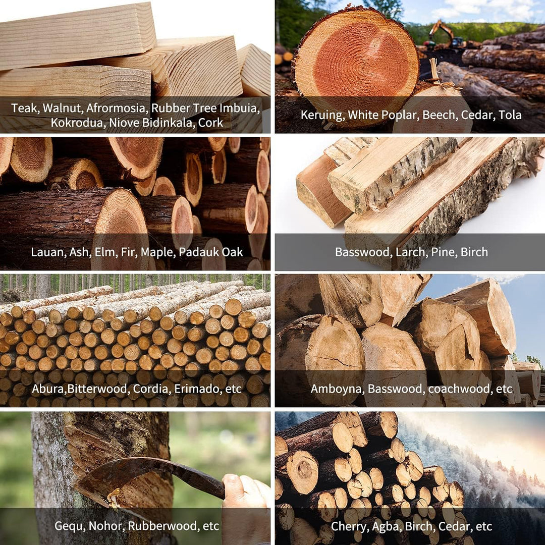 Huepar Digitales Holzfeuchtemessgrät, Pin–Type Wasserdetektur mit 2 Messmodi –8 Type von Messe der H