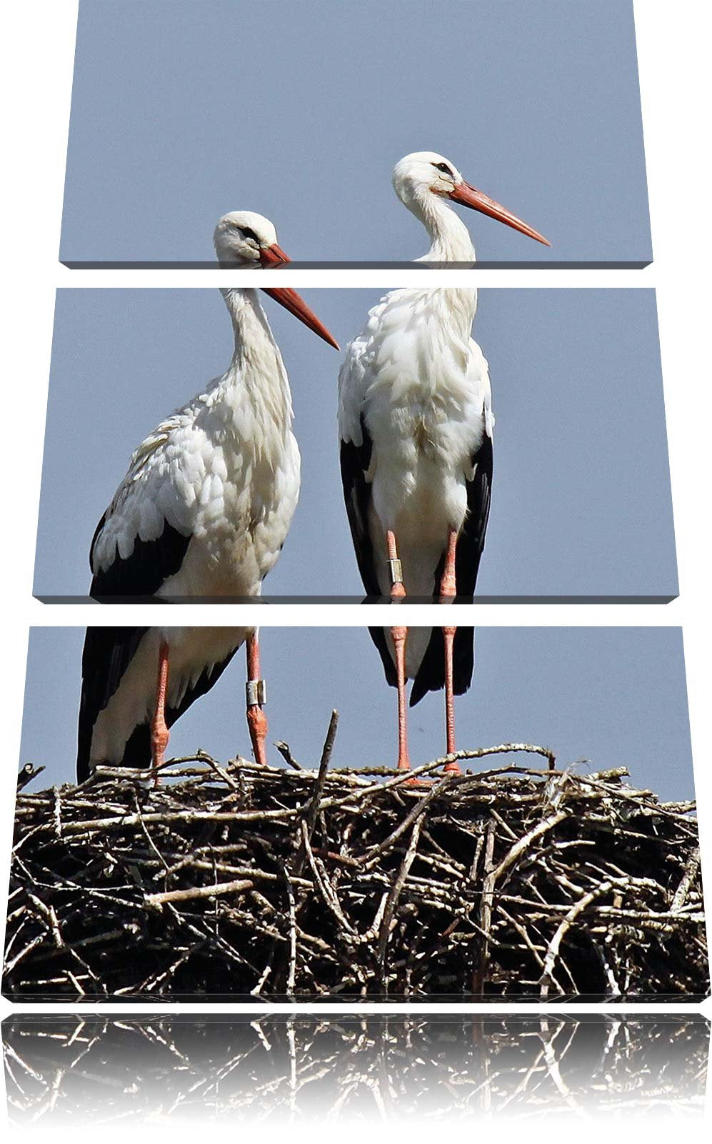 Pixxprint Zwei stolze Störche im Nest 3-Teiler Leinwandbild 120x80 Bild auf Leinwand, riesige Bilder